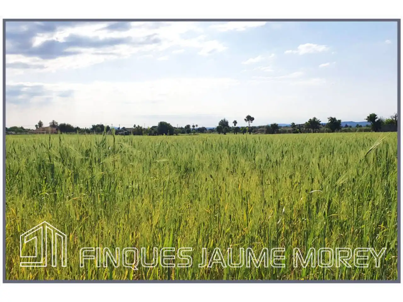 Residential for sale in Inca