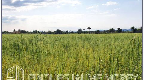 Foto 2 de Residencial en venda a Poligono 1, Sn, Centro, Illes Balears