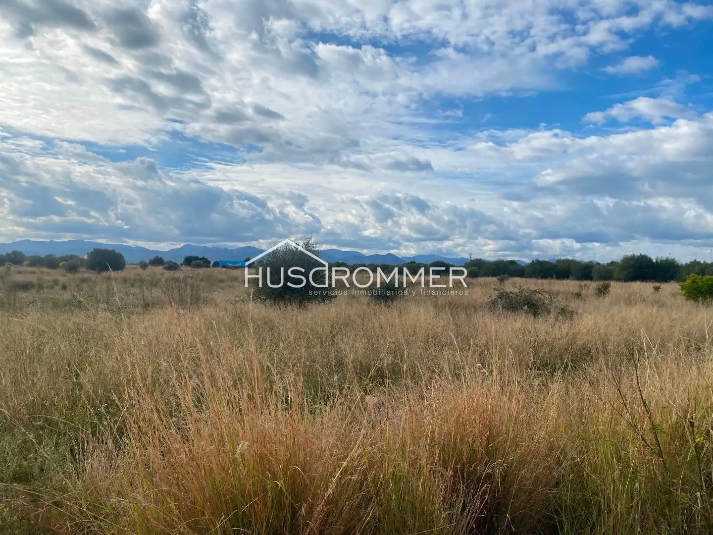Rural land for sale in Méjico, imagen 4