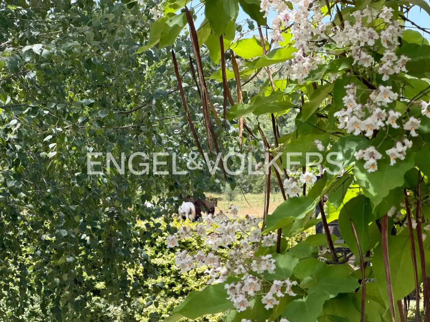Casa o chalet de alquiler en Soto del Real con Aire acondicionado, Calefacción y Jardín privado