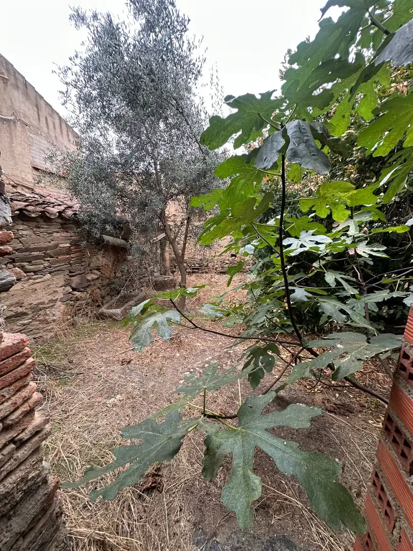 Casa o chalet en venta en Campanario