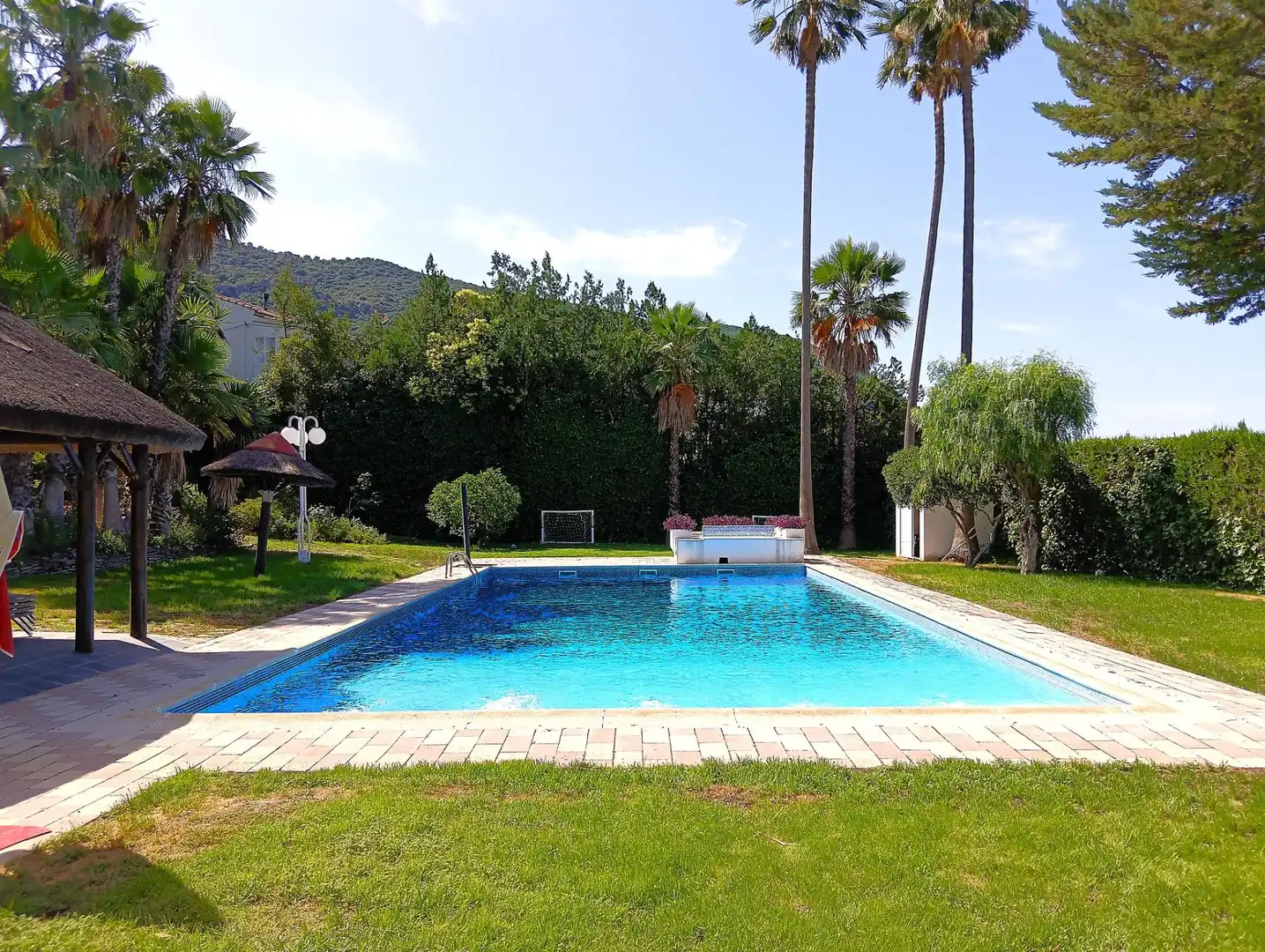 Piscina de Casa o xalet en venda en El Bosque amb Piscina comunitària