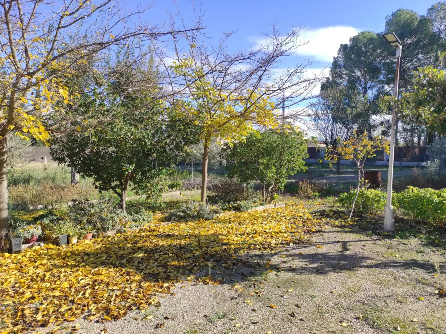 Casa rústica en venda a OJOS DE SAN JORGE, imagen 31