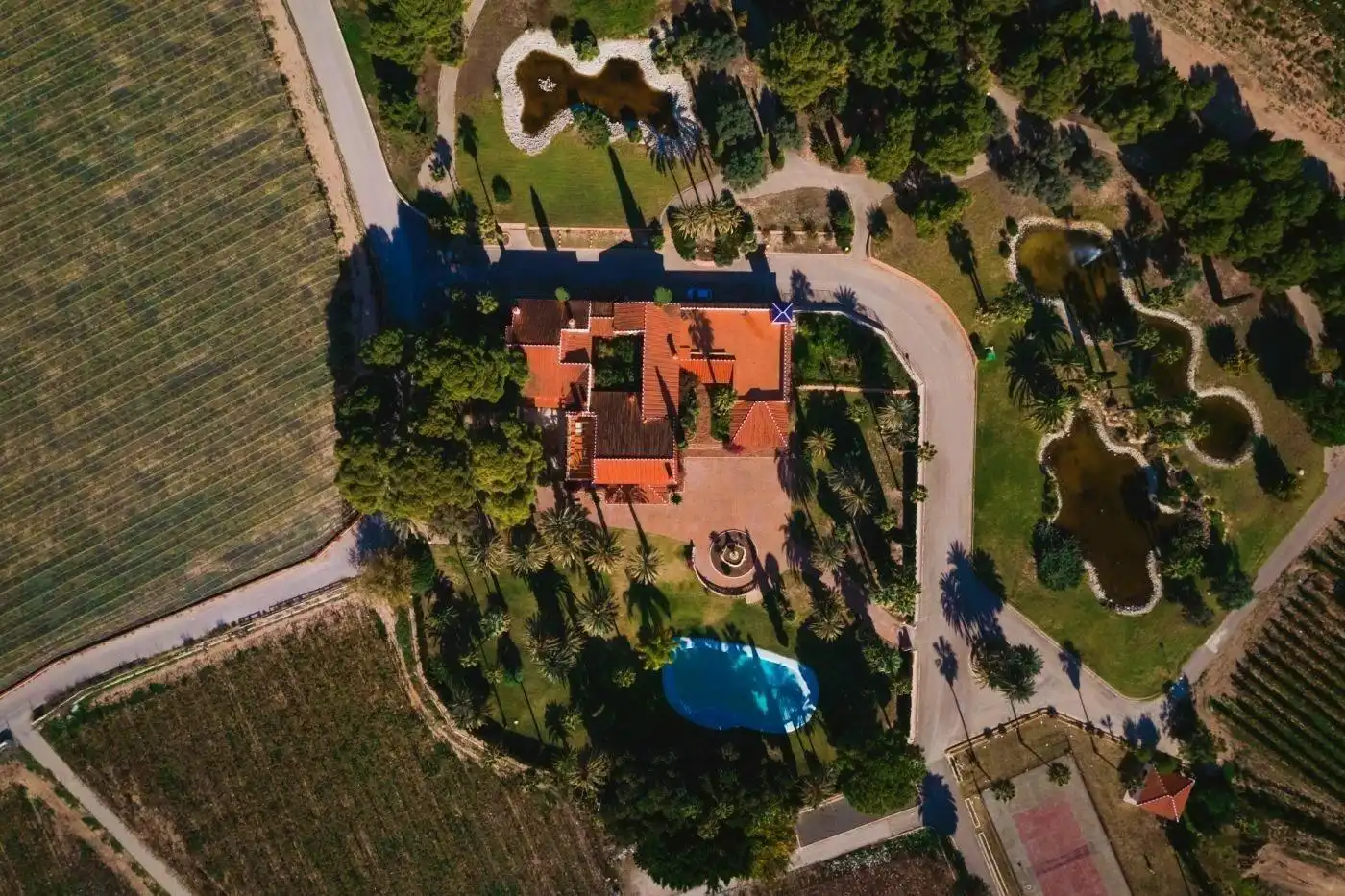 Außenansicht von Country house zum Verkauf in Novelda mit Klimaanlage, Heizung und Privatgarten