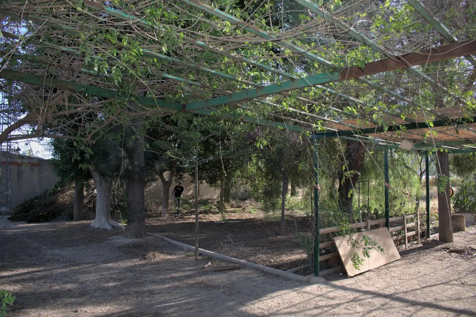 Garden of Houses for sale in Redován  with Air Conditioner, Private garden and Terrace