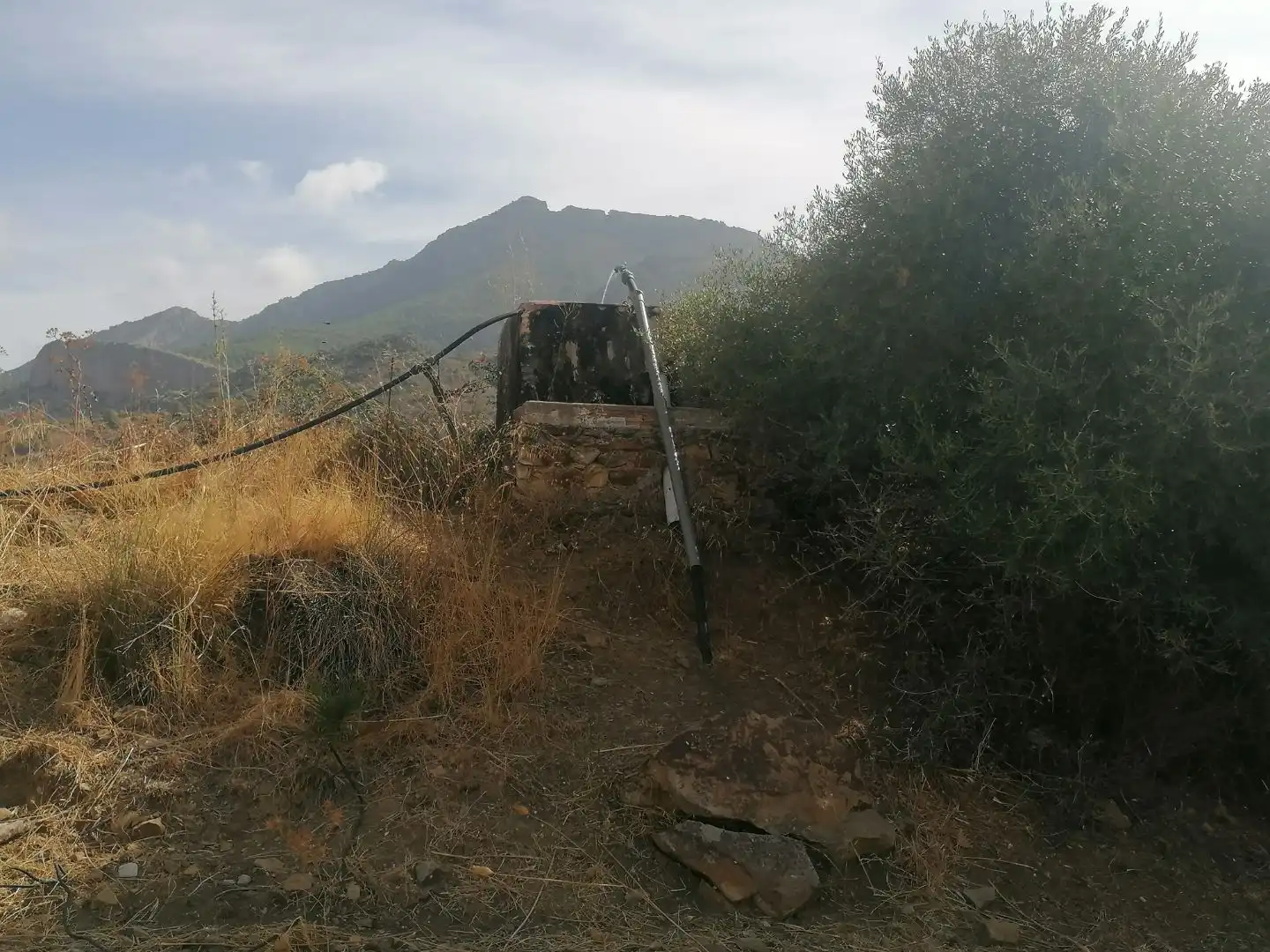 Terreno en venta en Ardales