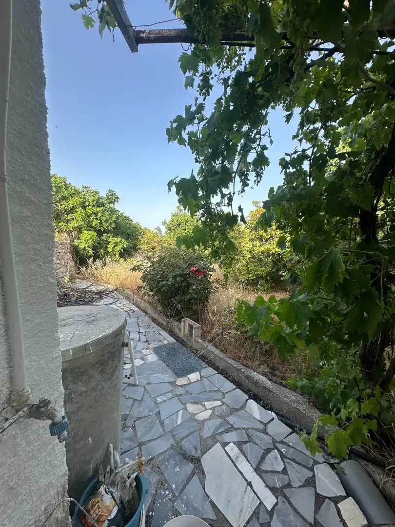Finca rústica en venta en Somontín