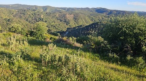 Photo 2 of Land for sale in Calle Don Jose Troyano, Calañas, Huelva