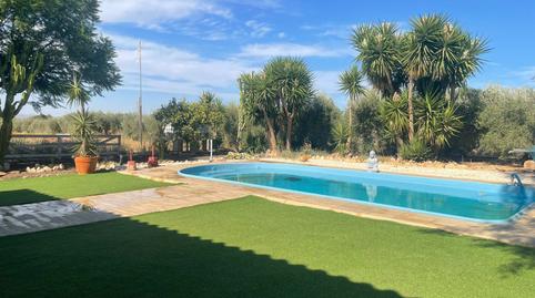 Foto 2 de Finca rústica en venda a La Magdalena - Molinos Marfagones, Murcia