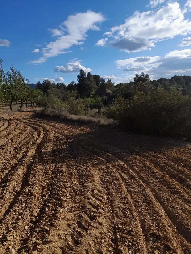 Terreno en venta en El Vilosell