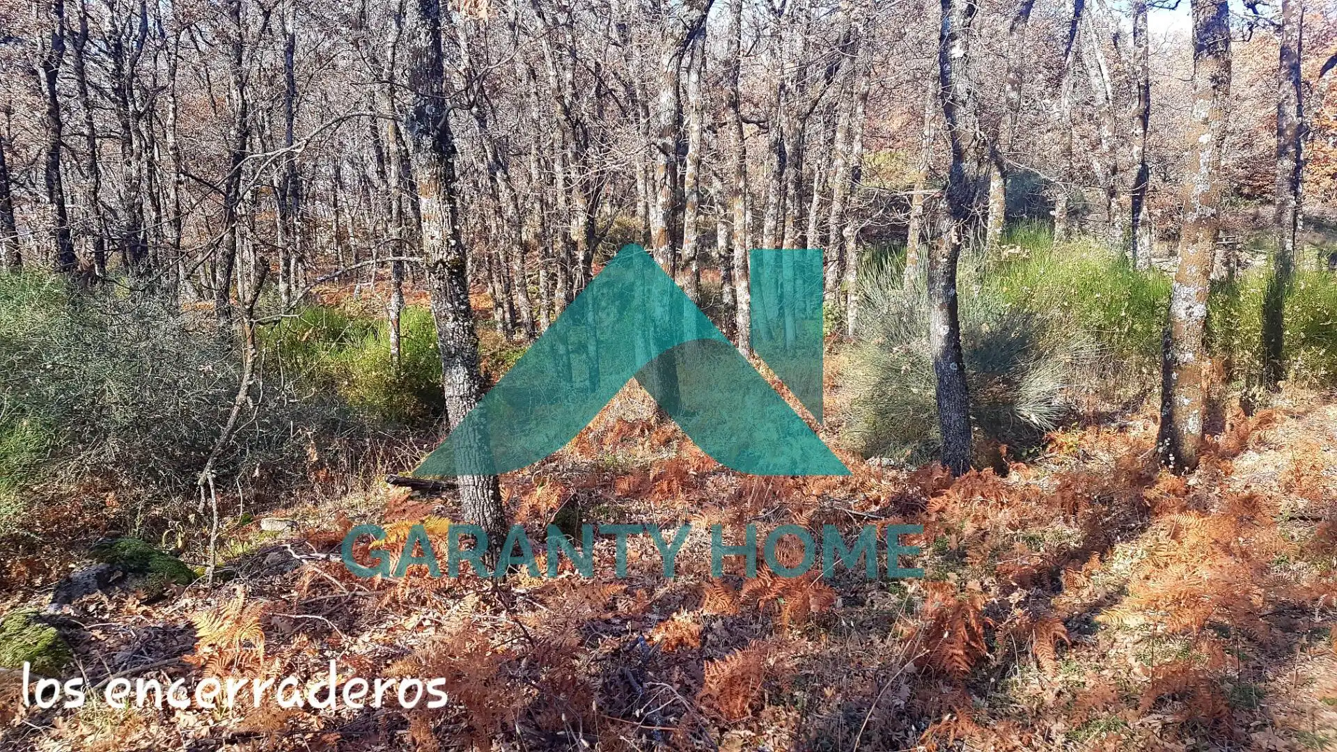 Finca rústica en venta en Aldeanueva de la Vera