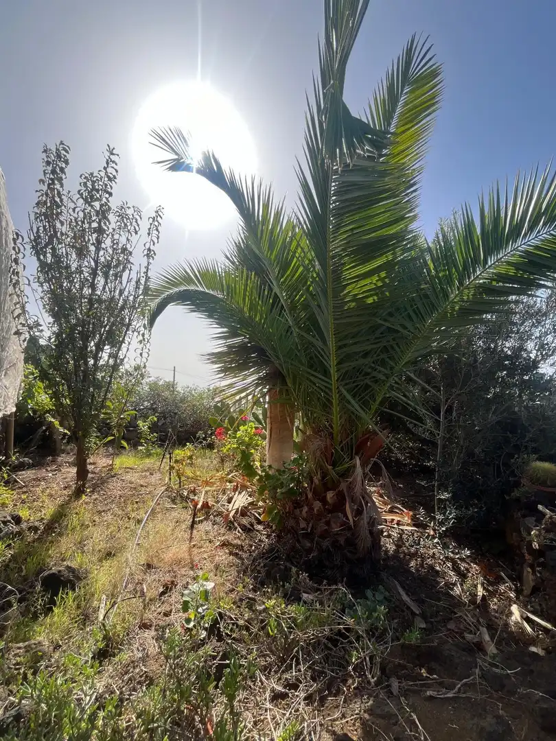Residencial en venta en El Pinar de El Hierro