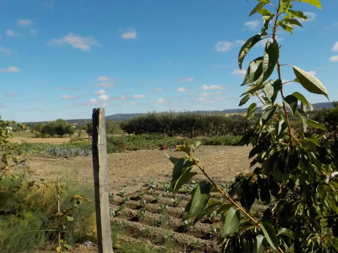 Detached house with garden for sale in Poligono 15, imagen 23