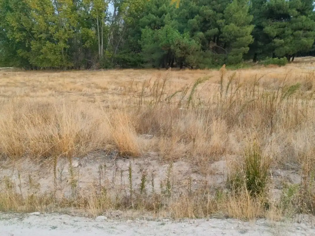 Land for sale in Lastras de Cuéllar