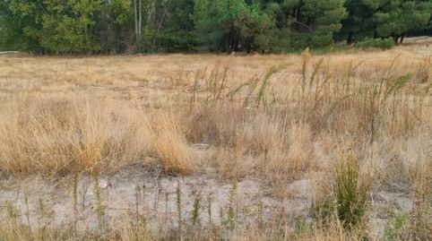 Foto 3 de Terreny en venda a Calle Esperanza, 10, Lastras de Cuéllar, Segovia