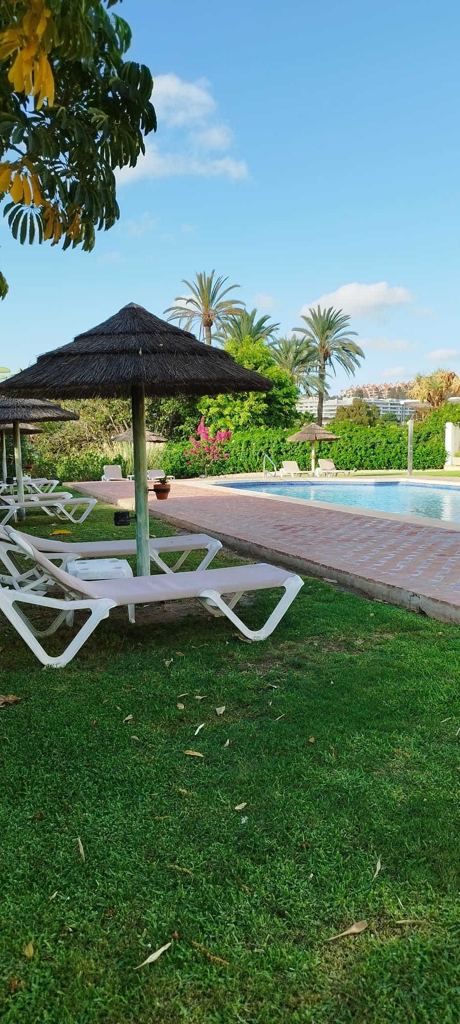 Swimming pool of Apartment to rent in Benahavís  with Swimming Pool and Community pool