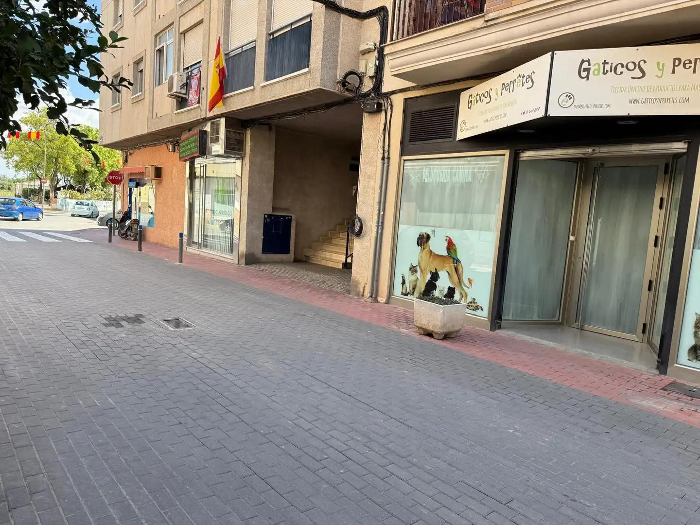 Gewerbefläche zur Miete in Pedanías Este, imagen 2
