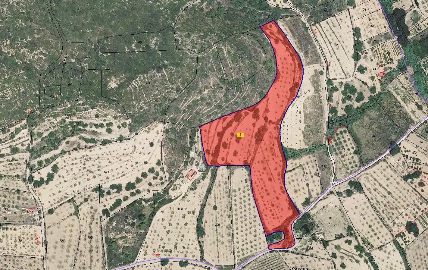 Rural land for sale in Cervera del Maestre, imagen 2