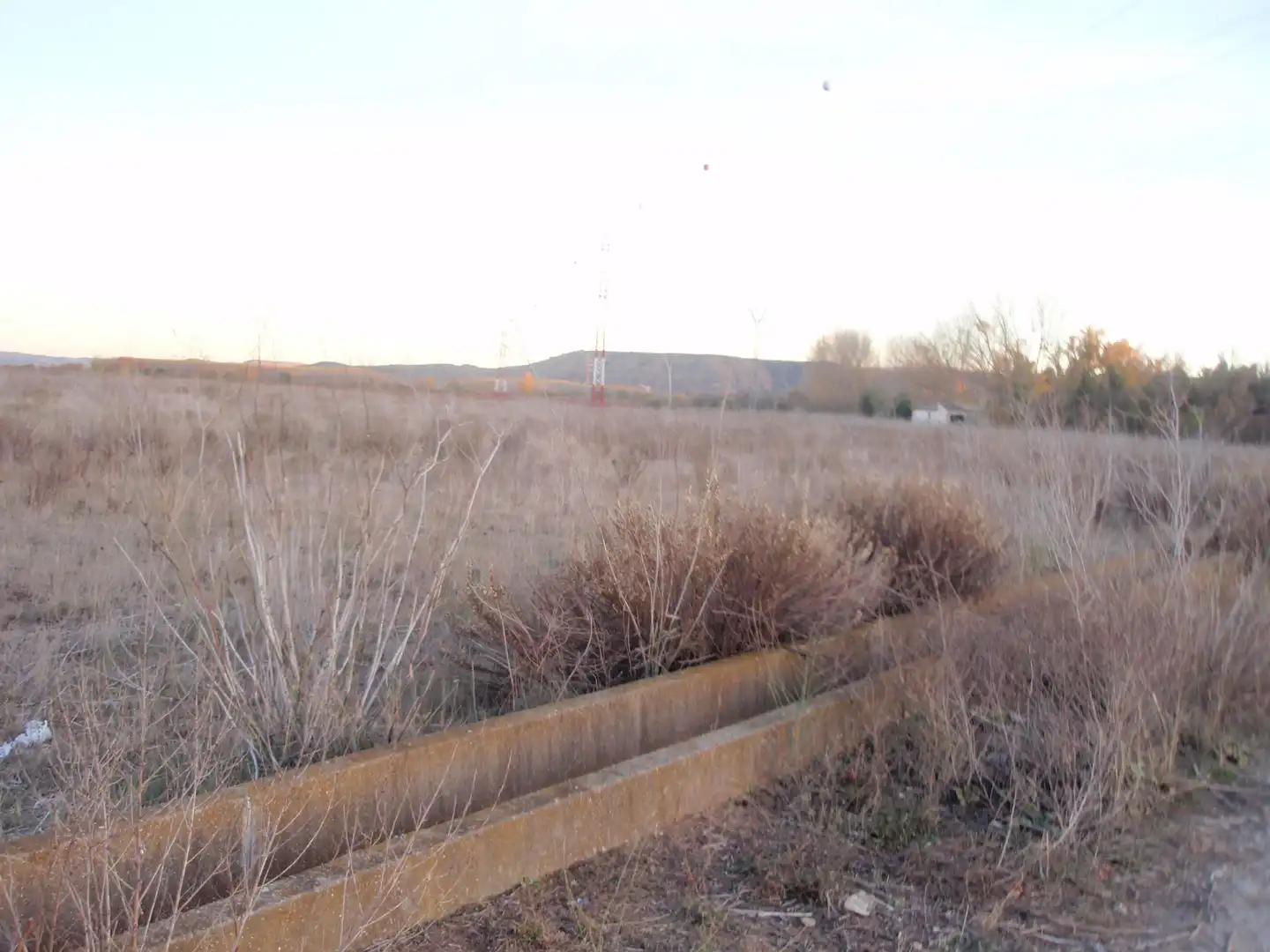 Rural land for sale in Viana