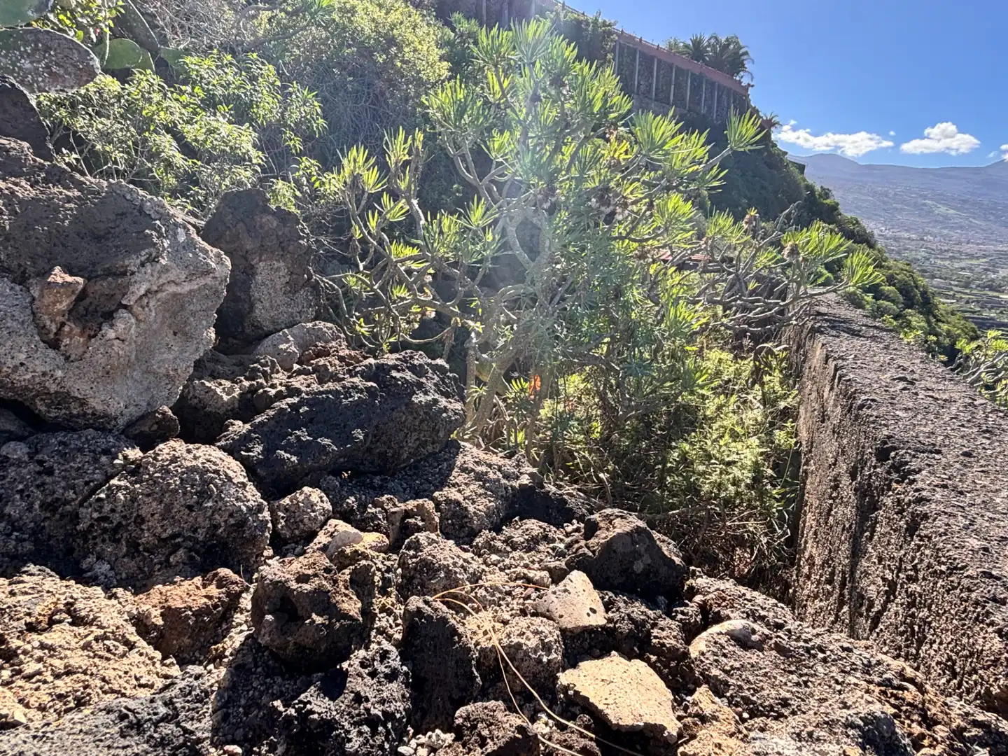 Terreno rustico in vendita a Camino de San Diego, imagen 27