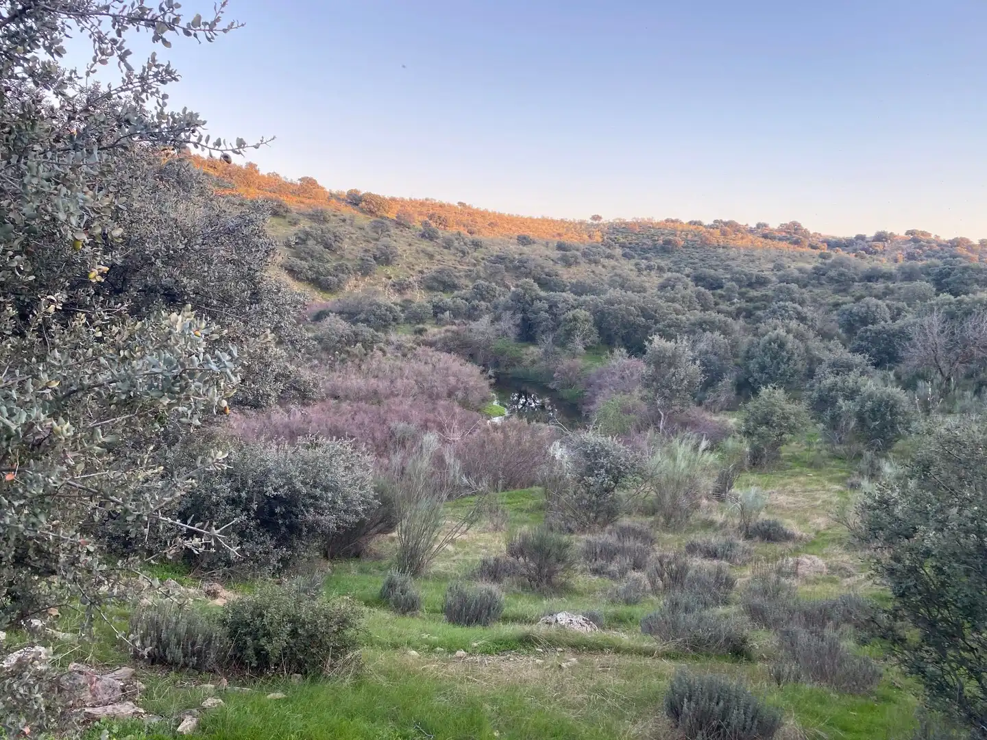 Terreni e lotti in vendita a Villar del Pedroso, imagen 14