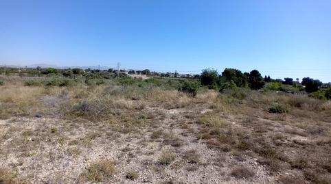 Foto 5 von Grundstücke zum Verkauf in Partida Valverde Bajo, Valverde, Elche / Elx