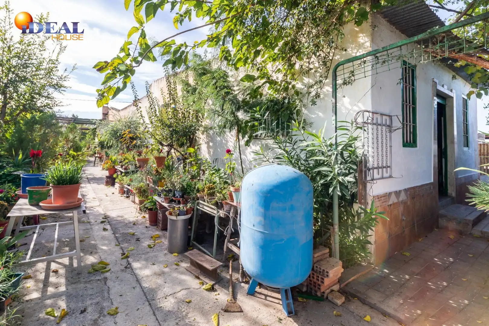 Vista exterior de Finca rústica en venta en Fuente Vaqueros con Jardín privado