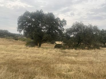Terreno rustico in vendita a La Estrella