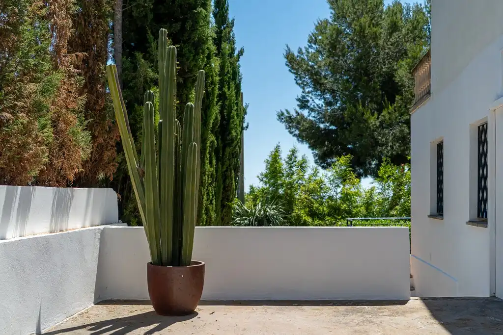 Jardí de Casa o xalet en venda en Calvià amb Aire condicionat, Jardí privat i Terrassa