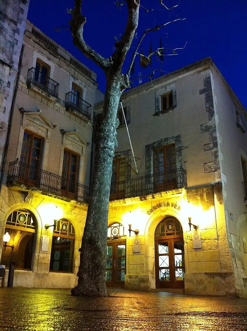Pis en venda a Calle NARCIS MONTURIOL, Centre