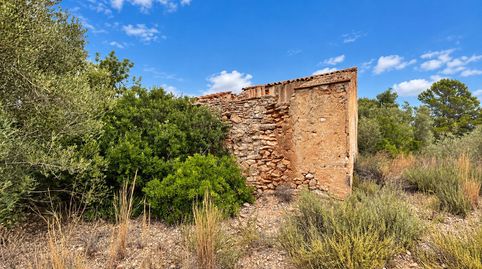 Foto 2 de Finca rústica en venda a L'Ampolla, Tarragona