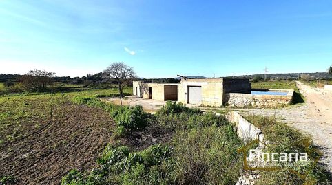 Foto 3 de Finca rústica en venda a Ma-3321, Manacor Centre, Manacor