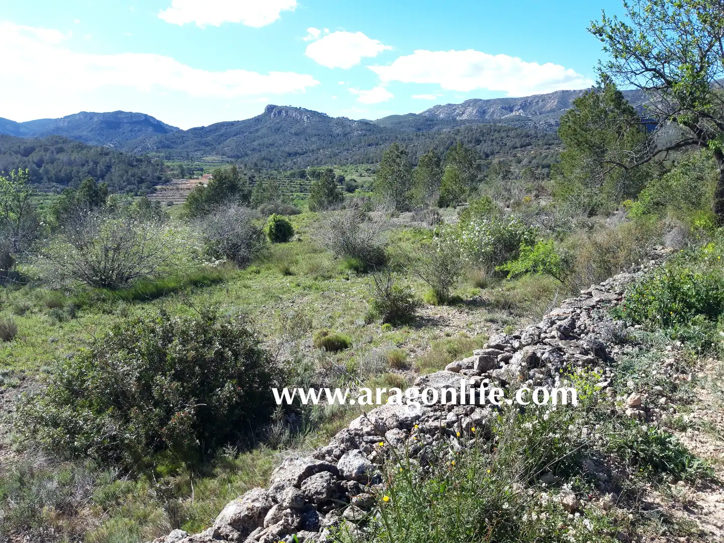 Rural land for sale in C-43, imagen 8