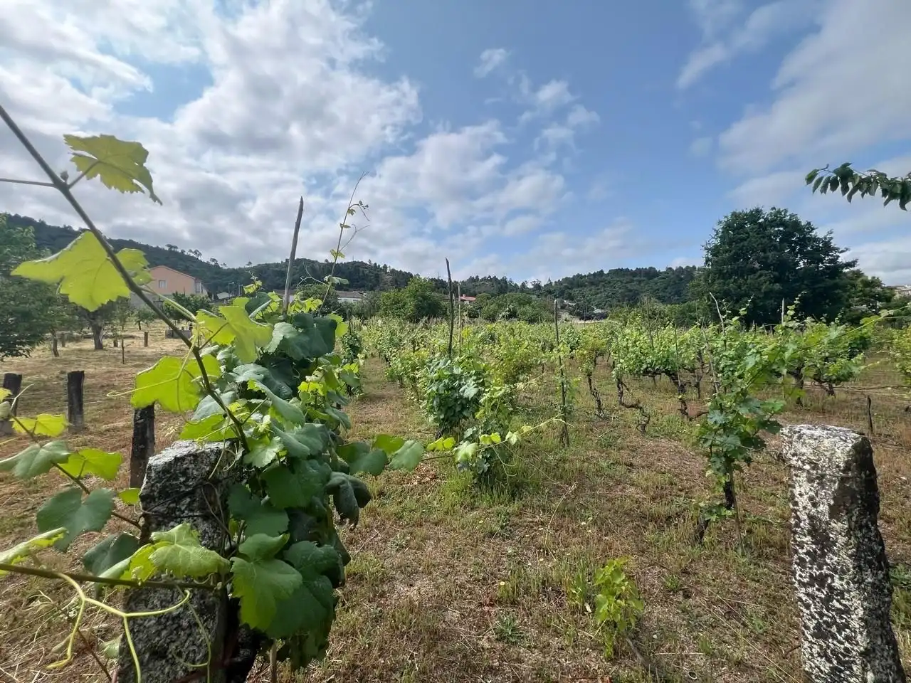 Maison avec terrasse à vendre à Rua da Leira, Camiño Souto Sanin 4, imagen 17