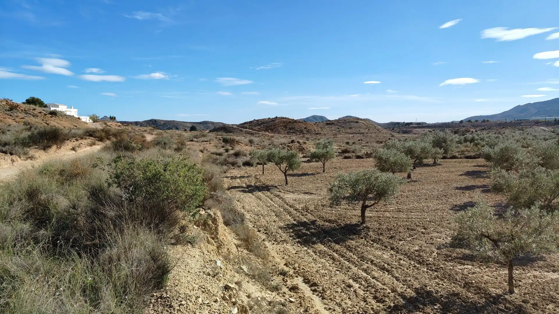 Terreno rustico in vendita a Campo Alto - Club de Campo, imagen 5