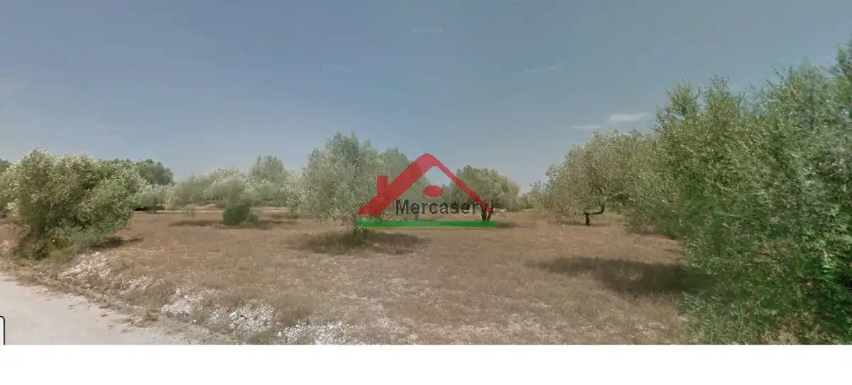 Finca rústica en venta en Vinaròs