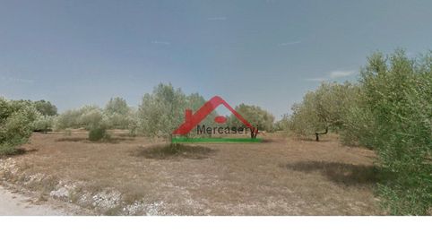 Photo 2 of Country homes for sale in N/a, Partidas de interior - Zona Rústica, Vinaròs
