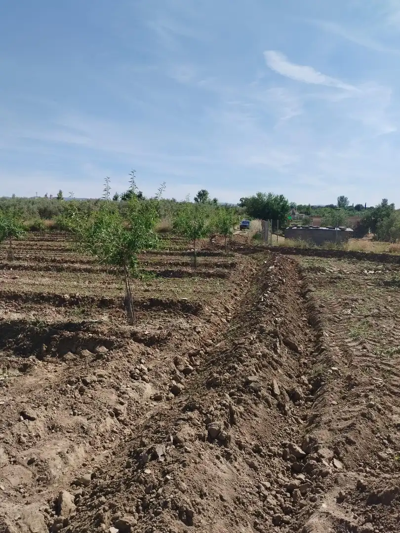 Terreni e lotti in vendita a Villa de Otura, imagen 18