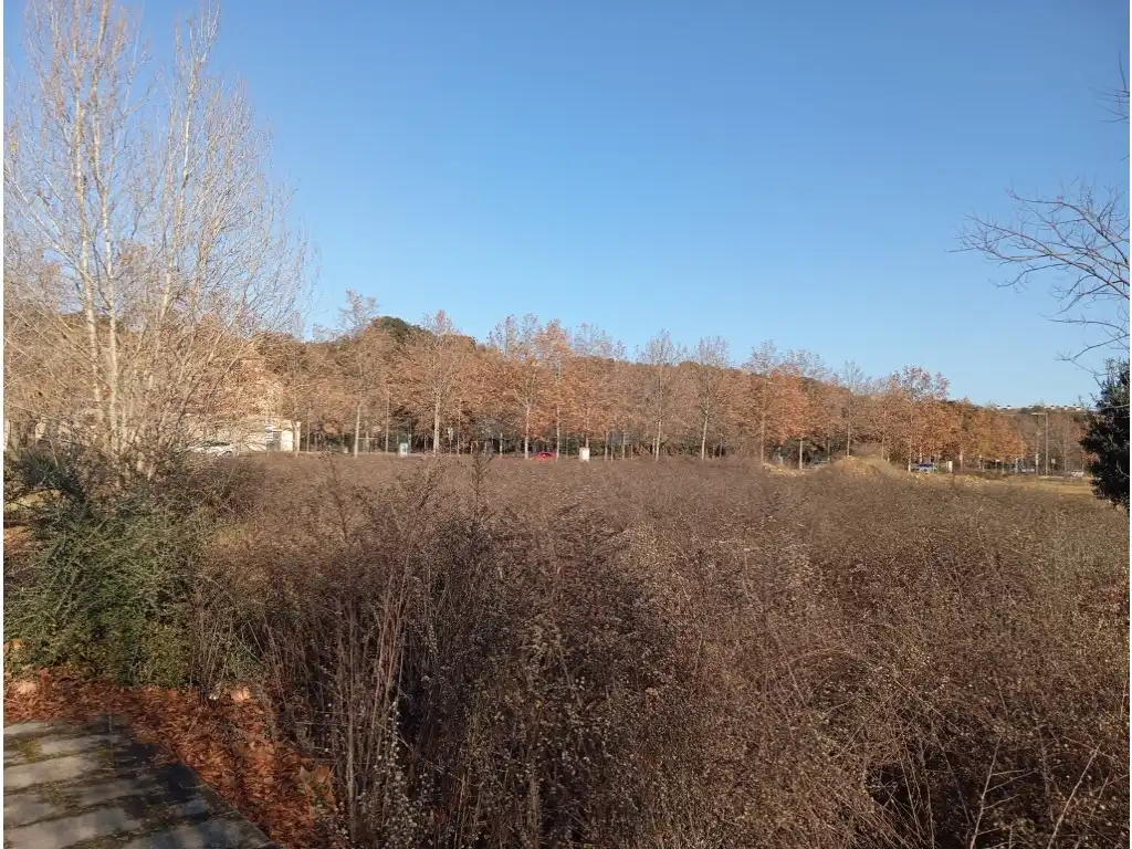 Residential land for sale in Carretera S Gregori-Domeny, imagen 2