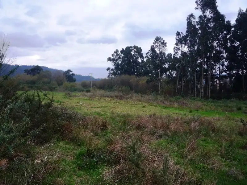 Terrenys i solars en venda a Rúa San Xiao, imagen 7