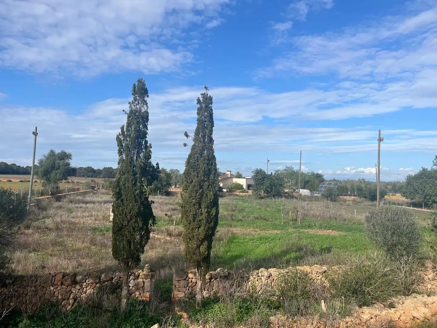 Finca rústica en venta en Llucmajor pueblo