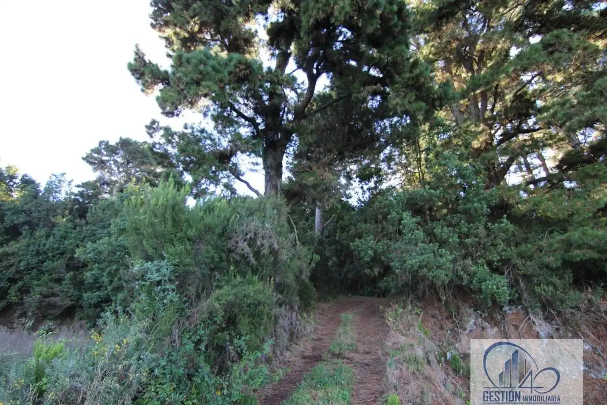 Finca rústica en venta en Los Realejos