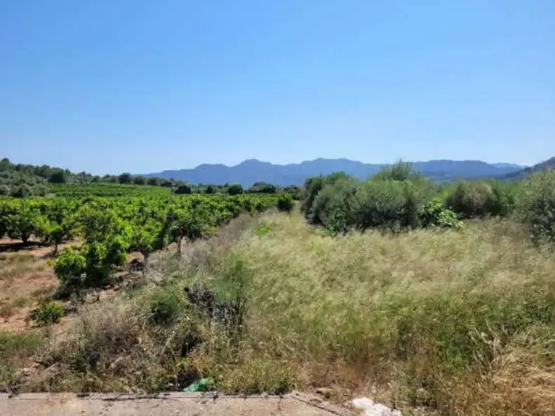 Rural land for sale in Partida Bobalar Pilares, imagen 7