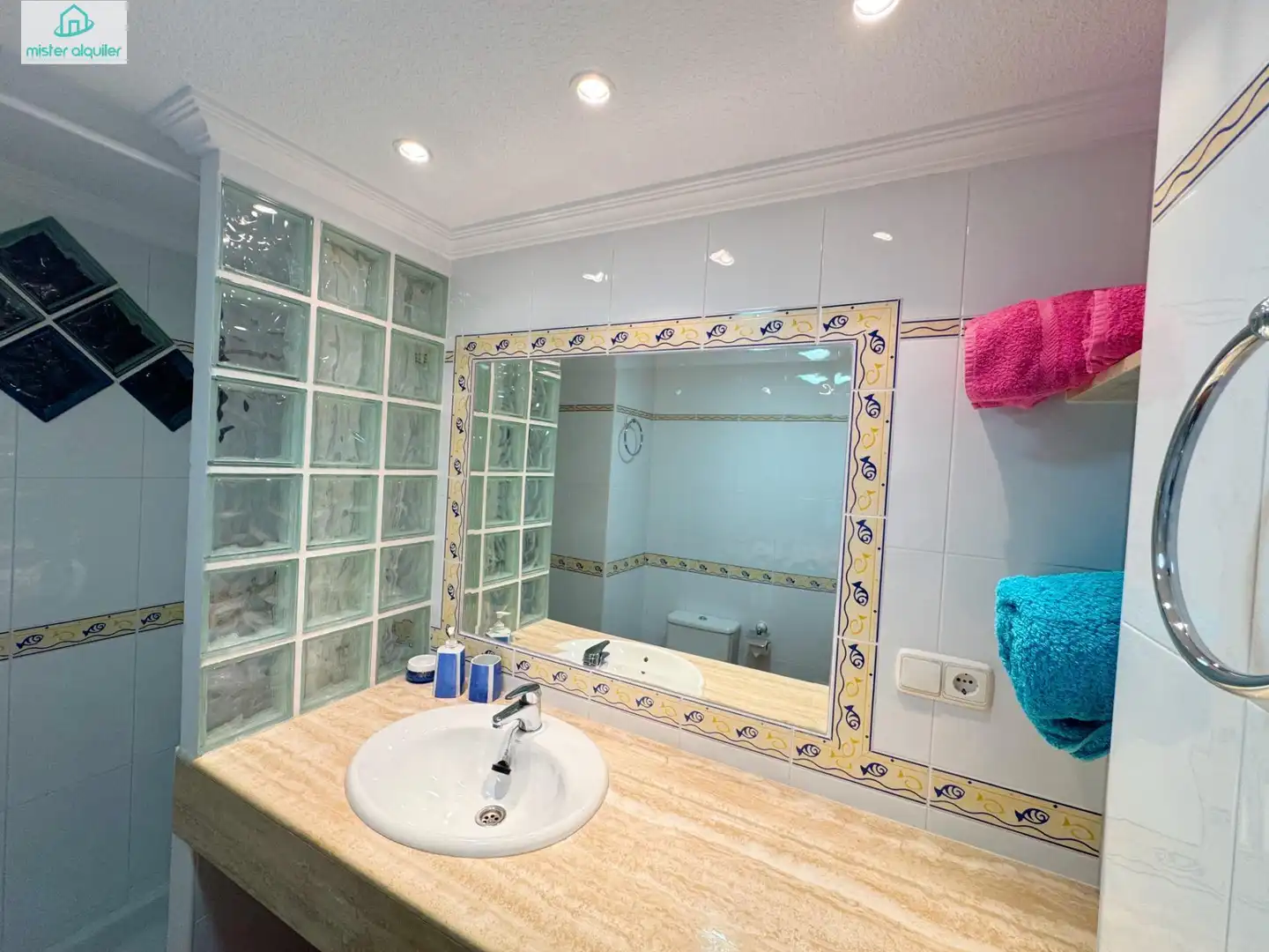Apartament amb terrassa de lloguer a Calle SANT VICENT 109, imagen 57