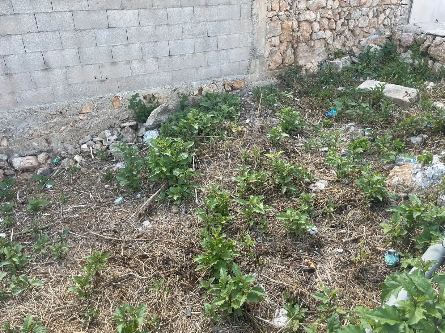 Residencial en venta en Lloseta