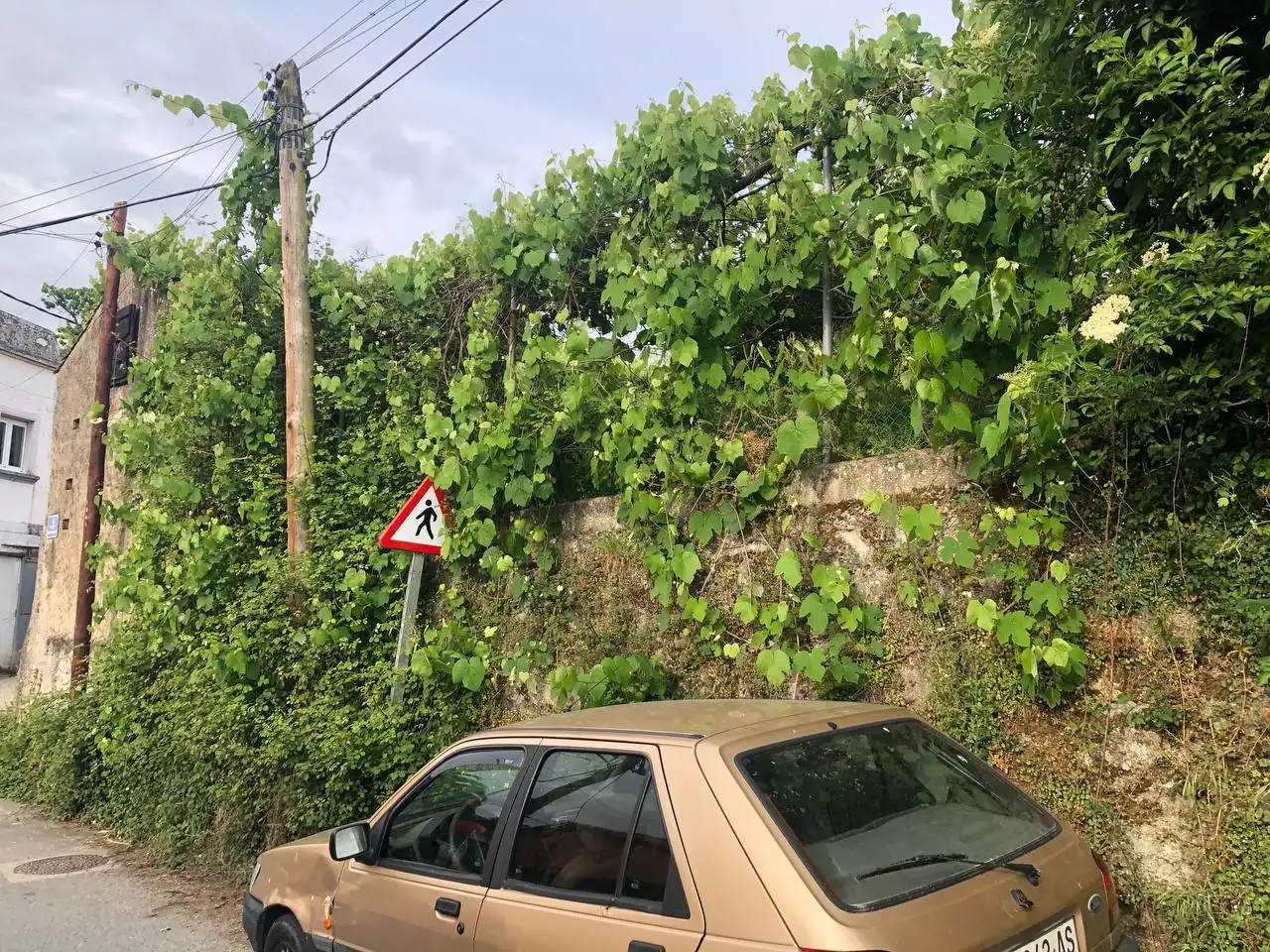 Residential land for sale in Rúa Castro, imagen 2