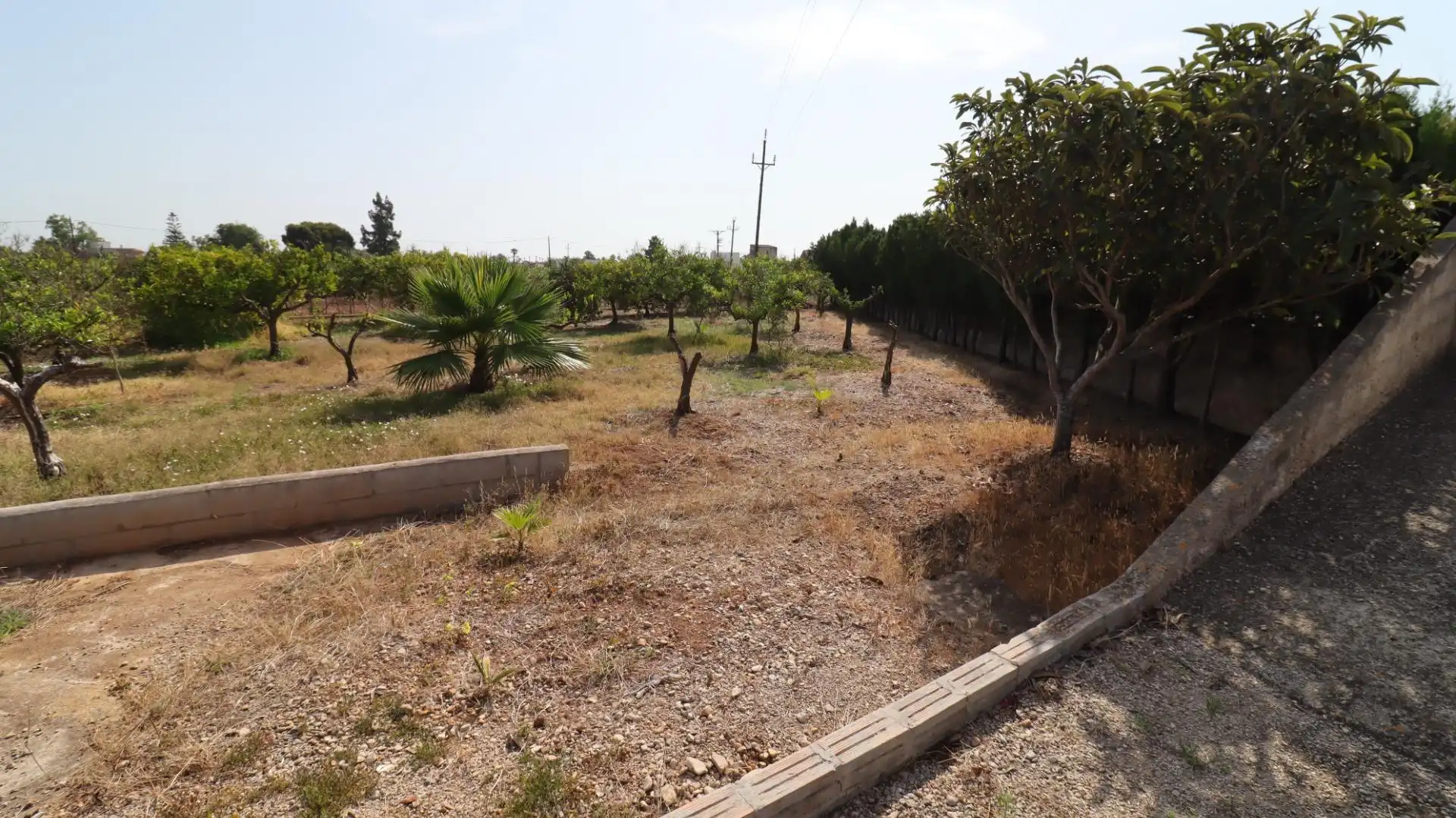 Terreno rústico en venta en Alcanar, imagen 8