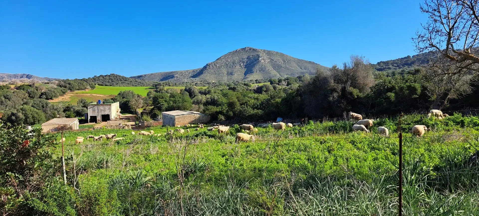 Landhaus mit Pool zum Verkauf in Sant Llorenç des Cardassar, imagen 17