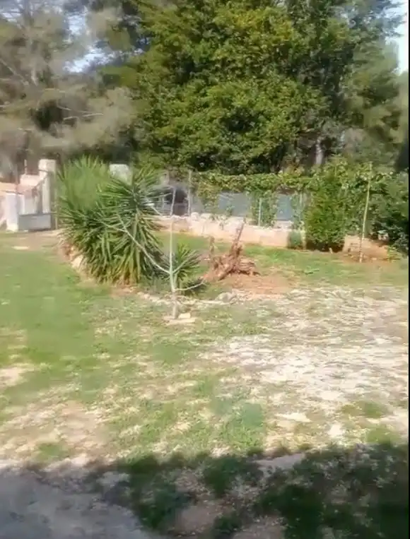 Maison rustique à vendre à Partida les Foyes, imagen 5