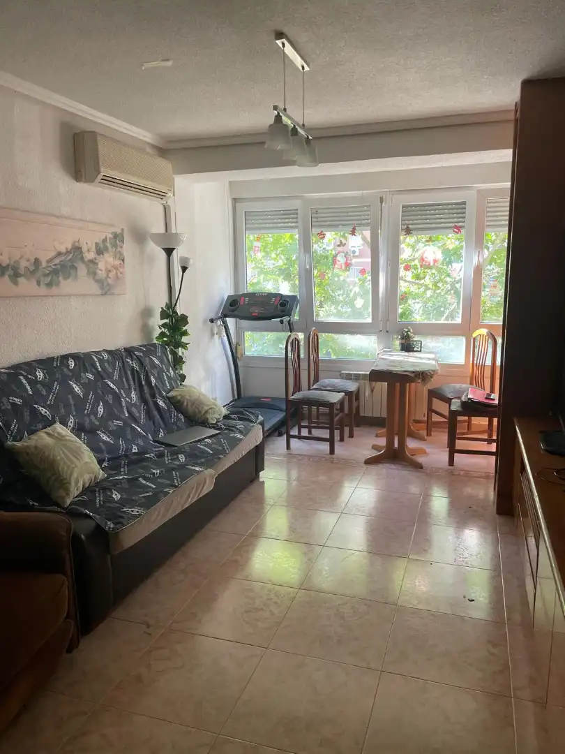 Sala d'estar de Pis en venda en Madrid amb Aire condicionat i Calefacció